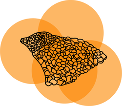 An icon of a hill fort on an orange background