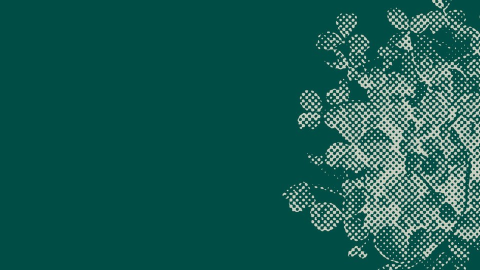 graphic of shamrock in grey and green