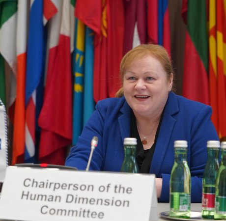 Ambassador Anne-Marie Callan at the OSCE Human Dimension Committee.