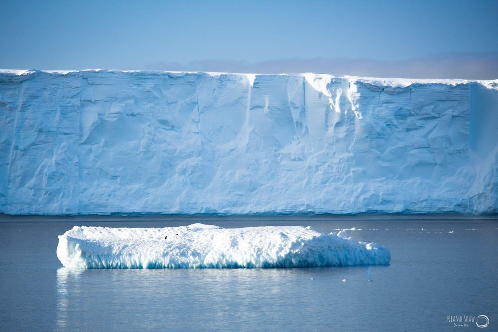 An ice floe in the foreground with a giant iceberg in the background