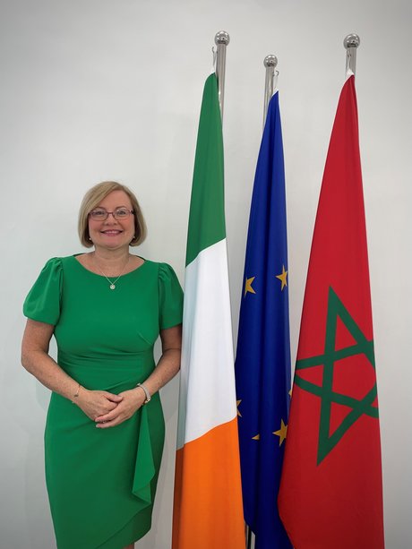 Ambassador standing in front of EU and Irish flags.
