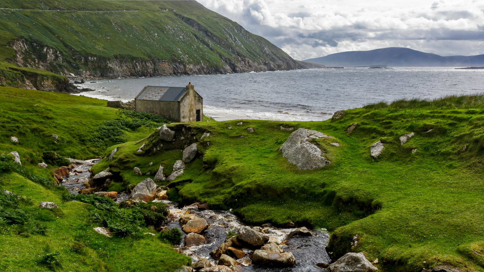 coast line of green grass, hills and sea