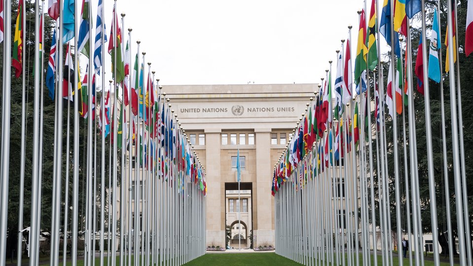 UN member state flags lining the entryway.