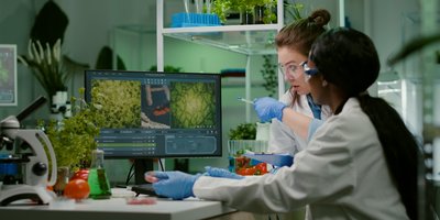 two scientist looking at diagrams on a screen