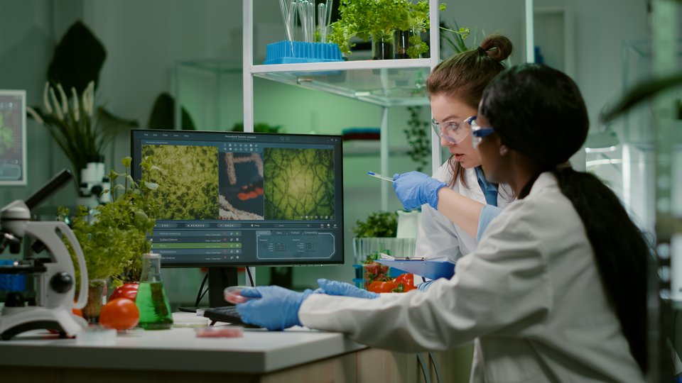 two scientist looking at diagrams on a screen