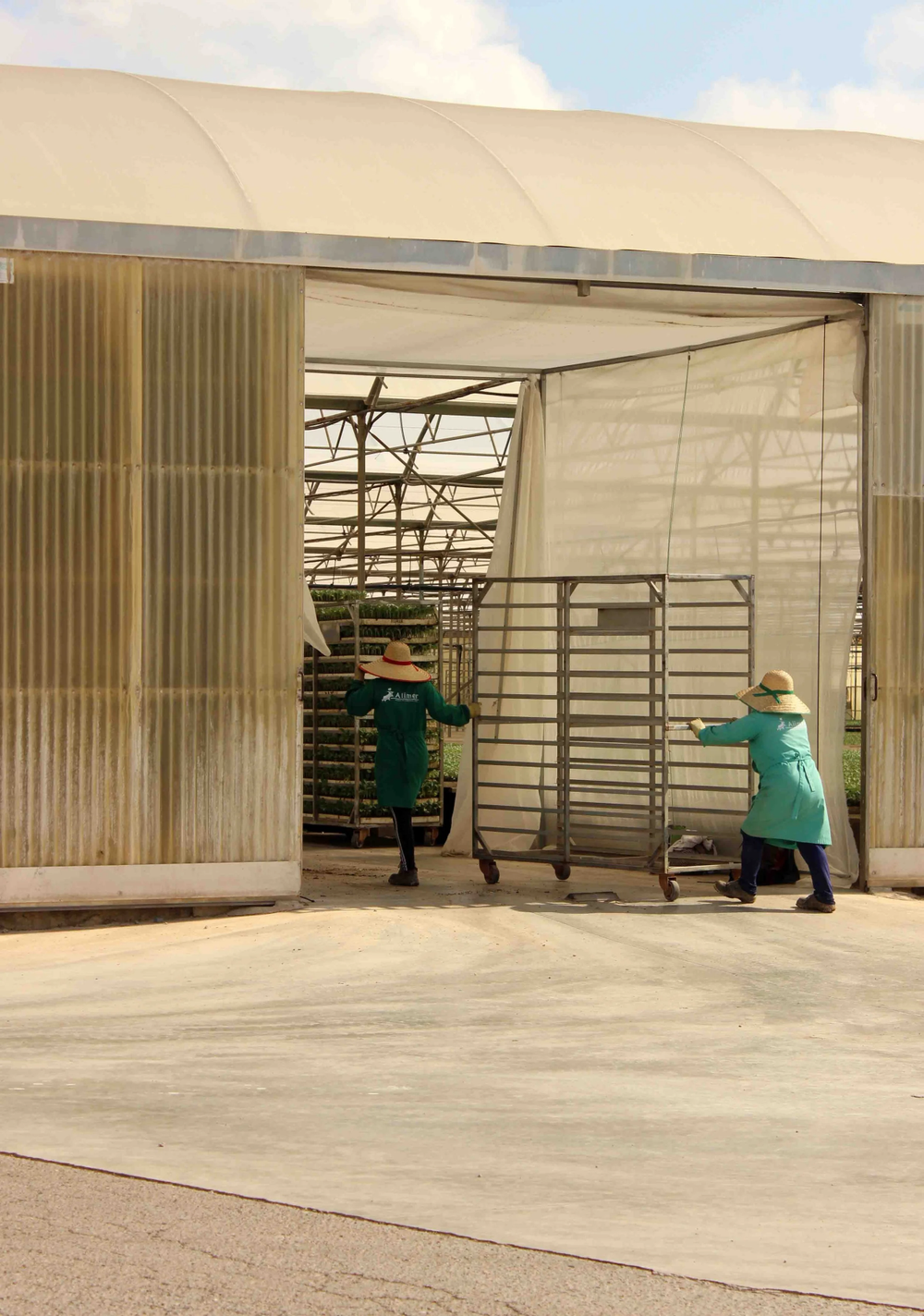 Two people pushing a trolley into a building