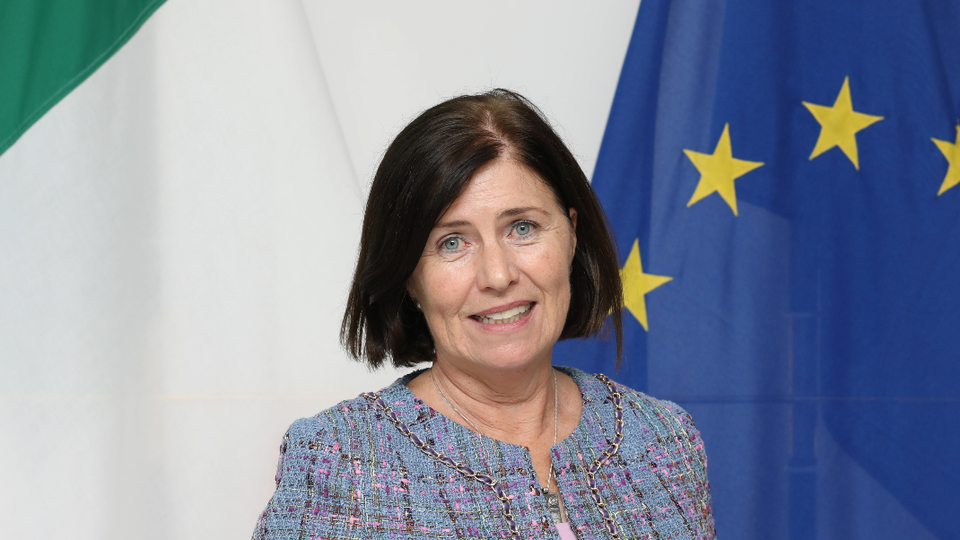 Ambassador Ann Derwin