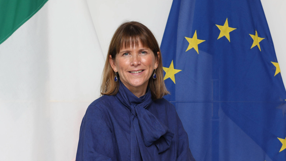 Ambassador of Ireland to UAE