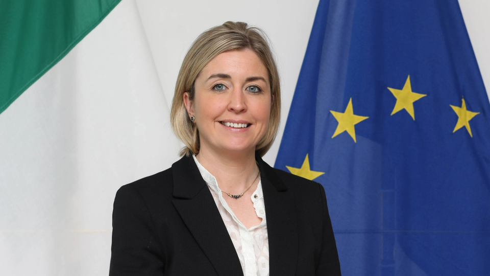 Ambassador standing in front of an Irish and European flag.