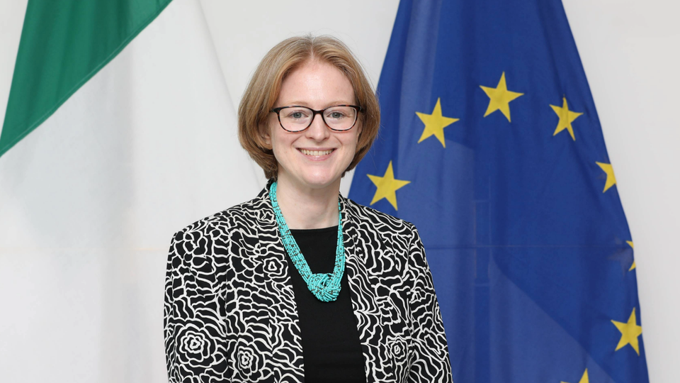Ambassador Janice McGann standing in front of the EU and Irish flags.