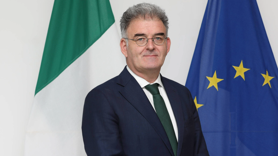 A man wearing a suit standing in front of Irish and EU flags.