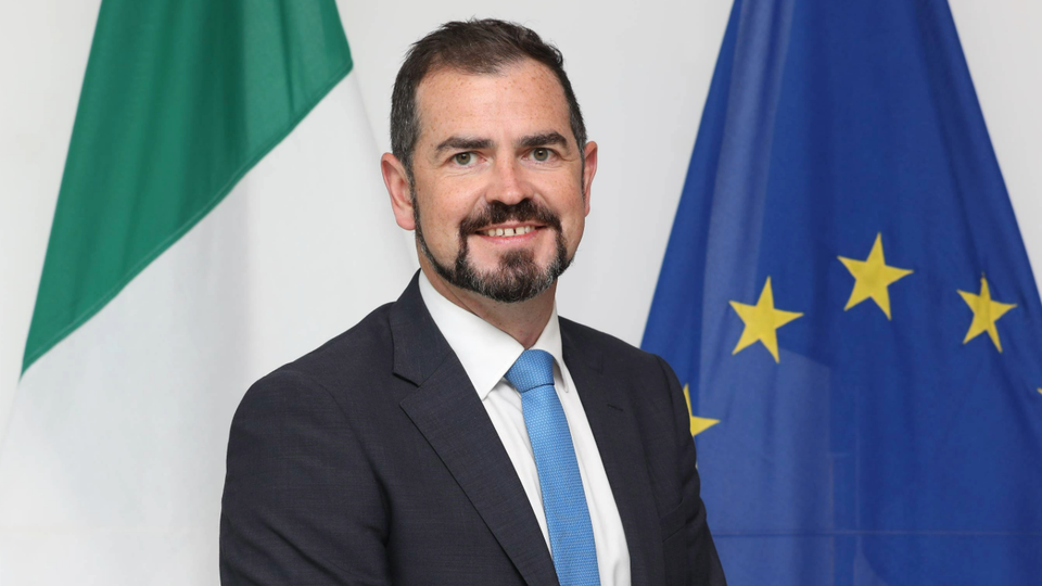 A man with a beard wearing a pink suit standing in front of the Irish and EU flags.