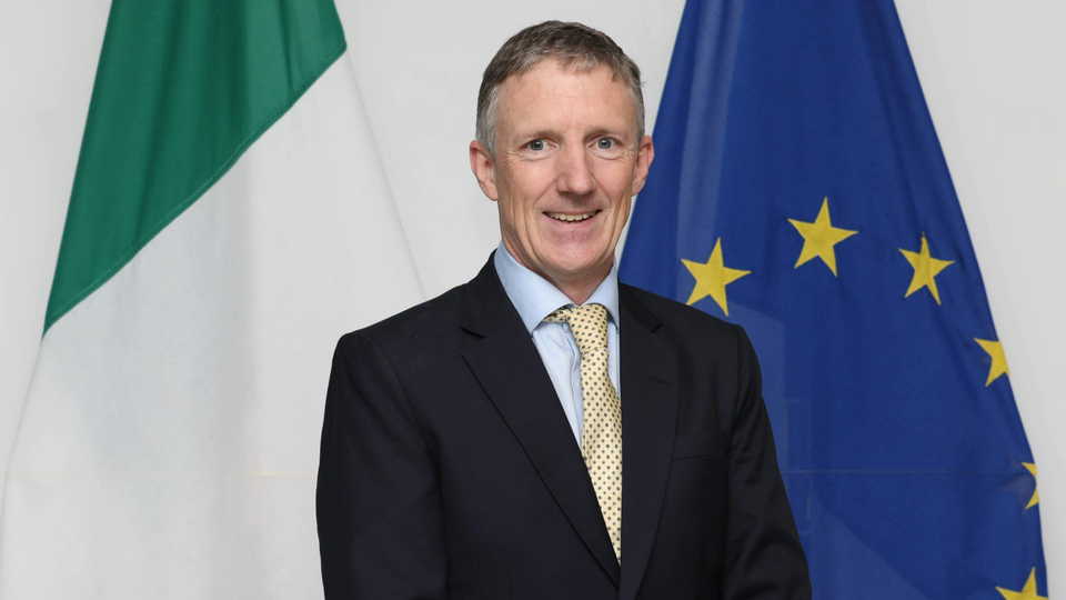 A man wearing a suit standing in front of the Irish and EU flags.