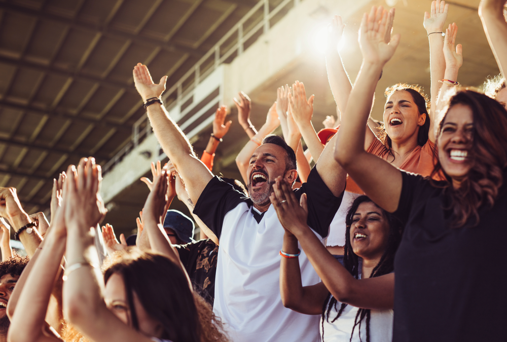 Fans celebrating in stands at World Cup