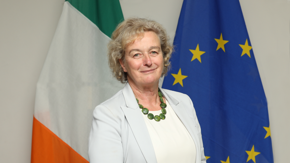 Ambassador of Ireland to the Kingdom of Sweden