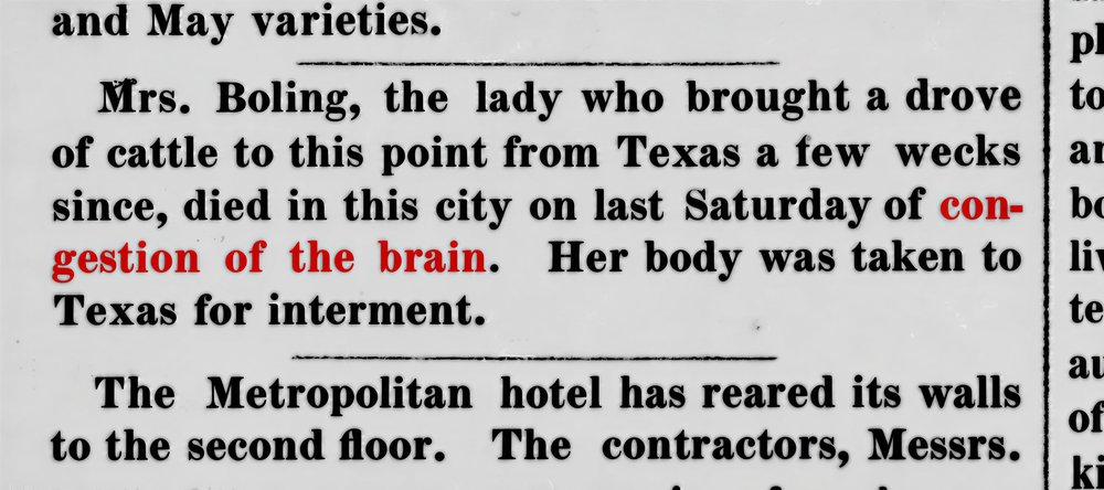 Newspaper clipping