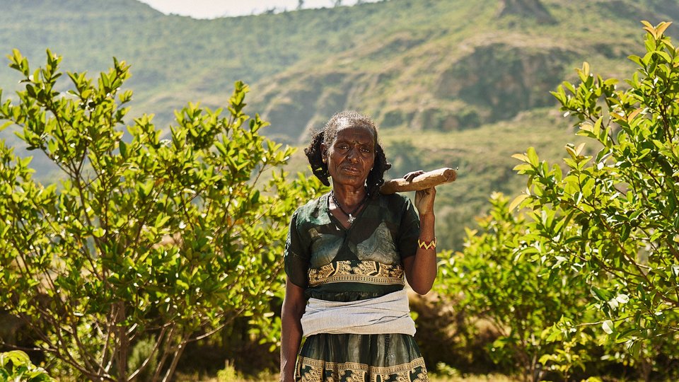 Lemelem Kahesay standing in a field holding a farming tool