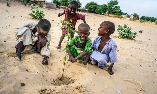 Four smiling children plant a small tree in the sand.