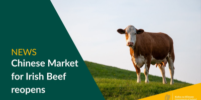 Chinese market for beef reopens