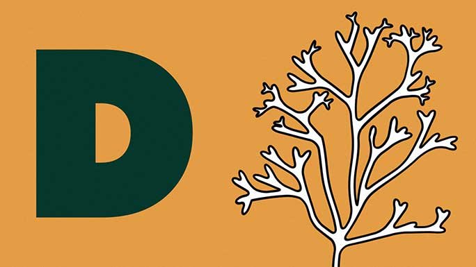 The letter D with a graphic of a plant