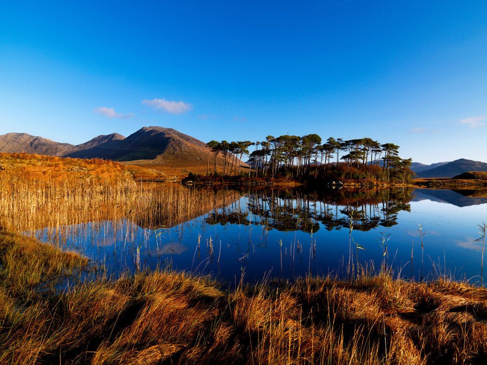 View across Derryclare Lake in Co Galway, with trees reflecting in the water