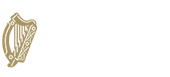 Ireland Fellows Programme logo