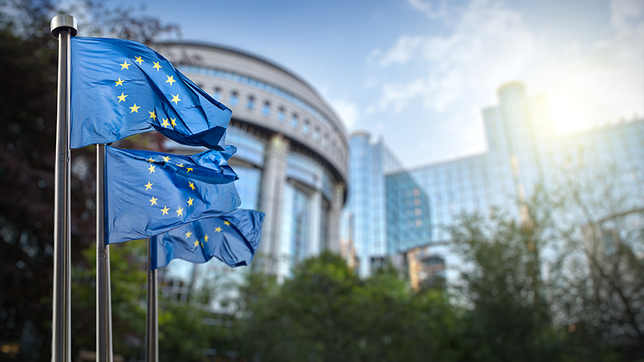 EU flags against the backdrop of the Parliament in Brussels