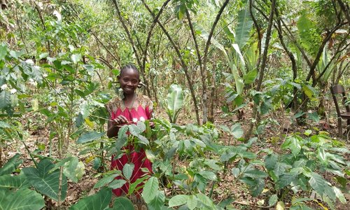 Woman farmer in Ethiopia