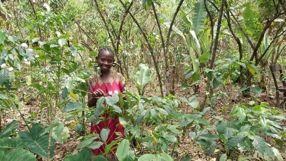 Woman farmer in Ethiopia