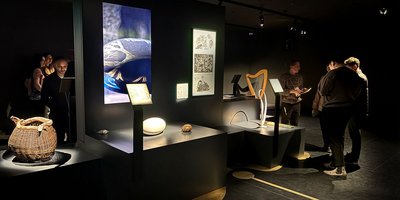 Exhibits at the Ireland Pavilion