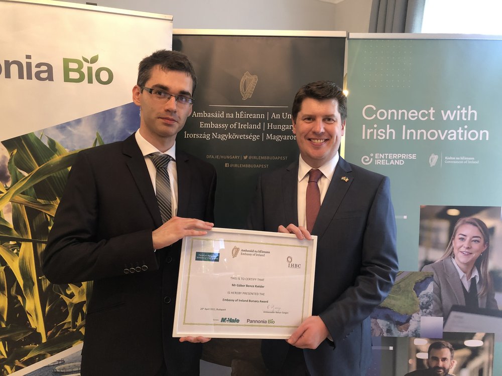 Irish Embassy Bursary Programme 2023 Ireland this is Ireland