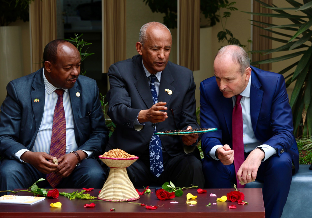 Humantiarian Tánaiste pledges €15 million humantiarian funding to Ethiopia | Ireland.ie