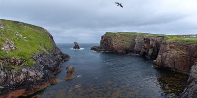 A view between two steep cliffsides as seagulls fly between.