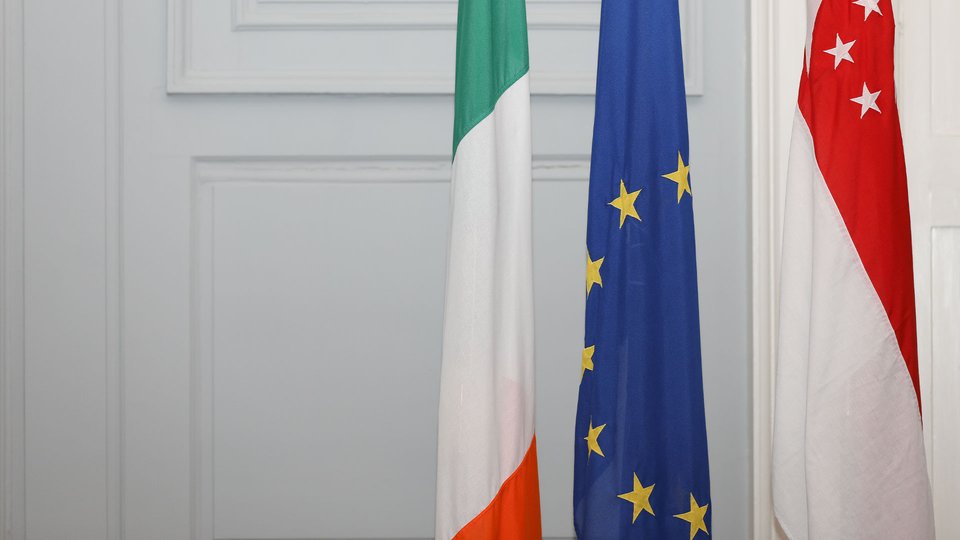 Irish EU and Singapore flag