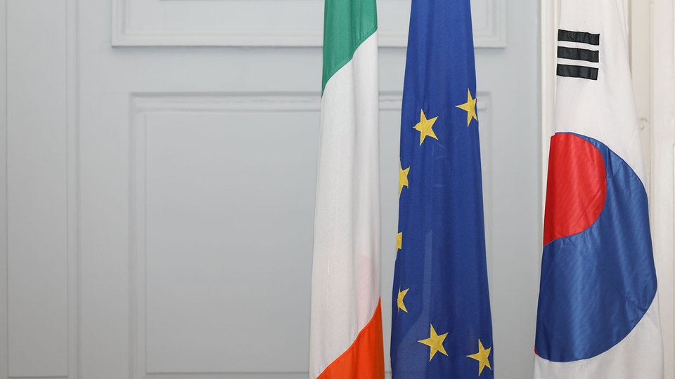 Irish, EU and South Korean flags.