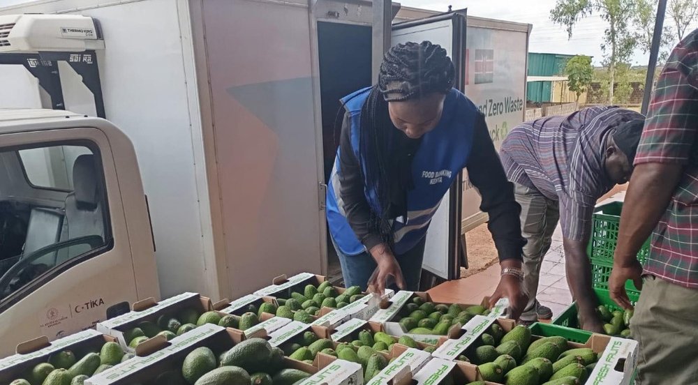 Food bank worker in Kenya organising boxes of avocados.
