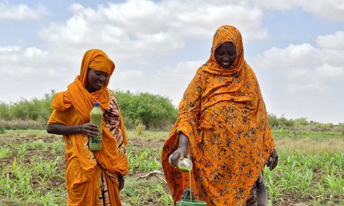 Gabay and her daughter Isnina, in Somalia's Dollow District, prepare organic pesticides to control pests and diseases on their farm.