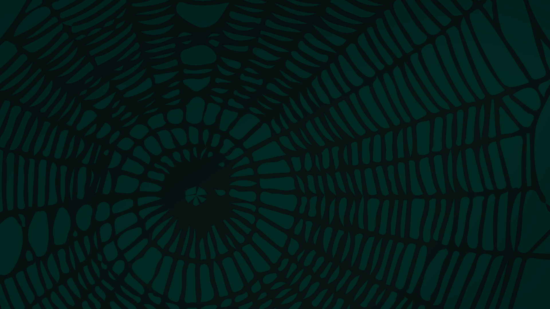 Spider web graphic