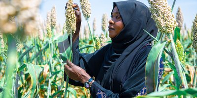 Woman in headscarf with plants