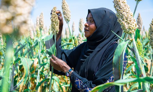 Woman in field of crops