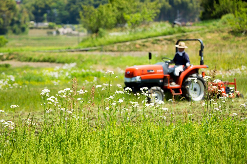 Someone driving a tractor through a field