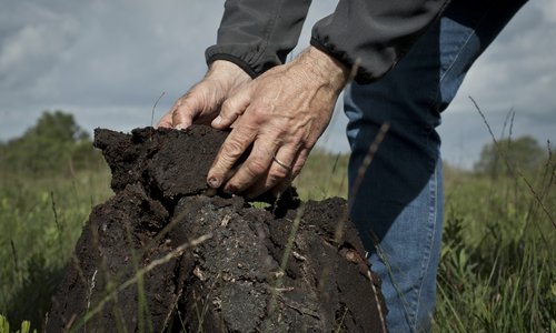 Man laying turf down in block