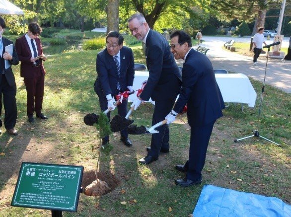 Ambassador of Ireland to Japan, Damien Cole, poses with two Sapporo City officials as they each shovel dirt on a lodgepole pine sapling