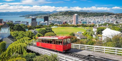 View of the Wellington skyline at sunset.