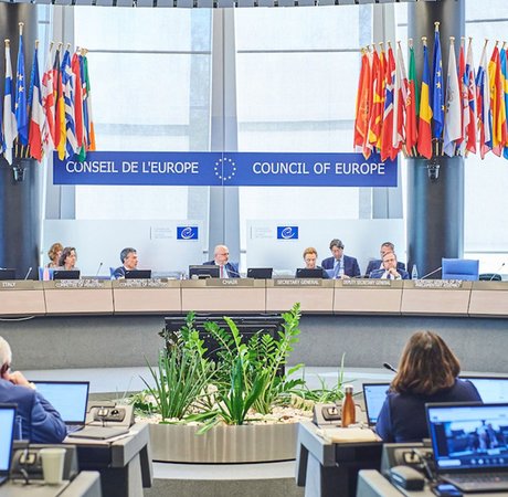 The Council of Europe chamber
