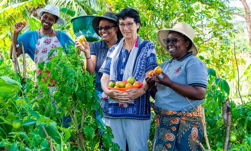 People harvesting fruit