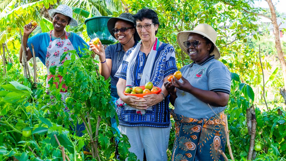 People harvesting fruit