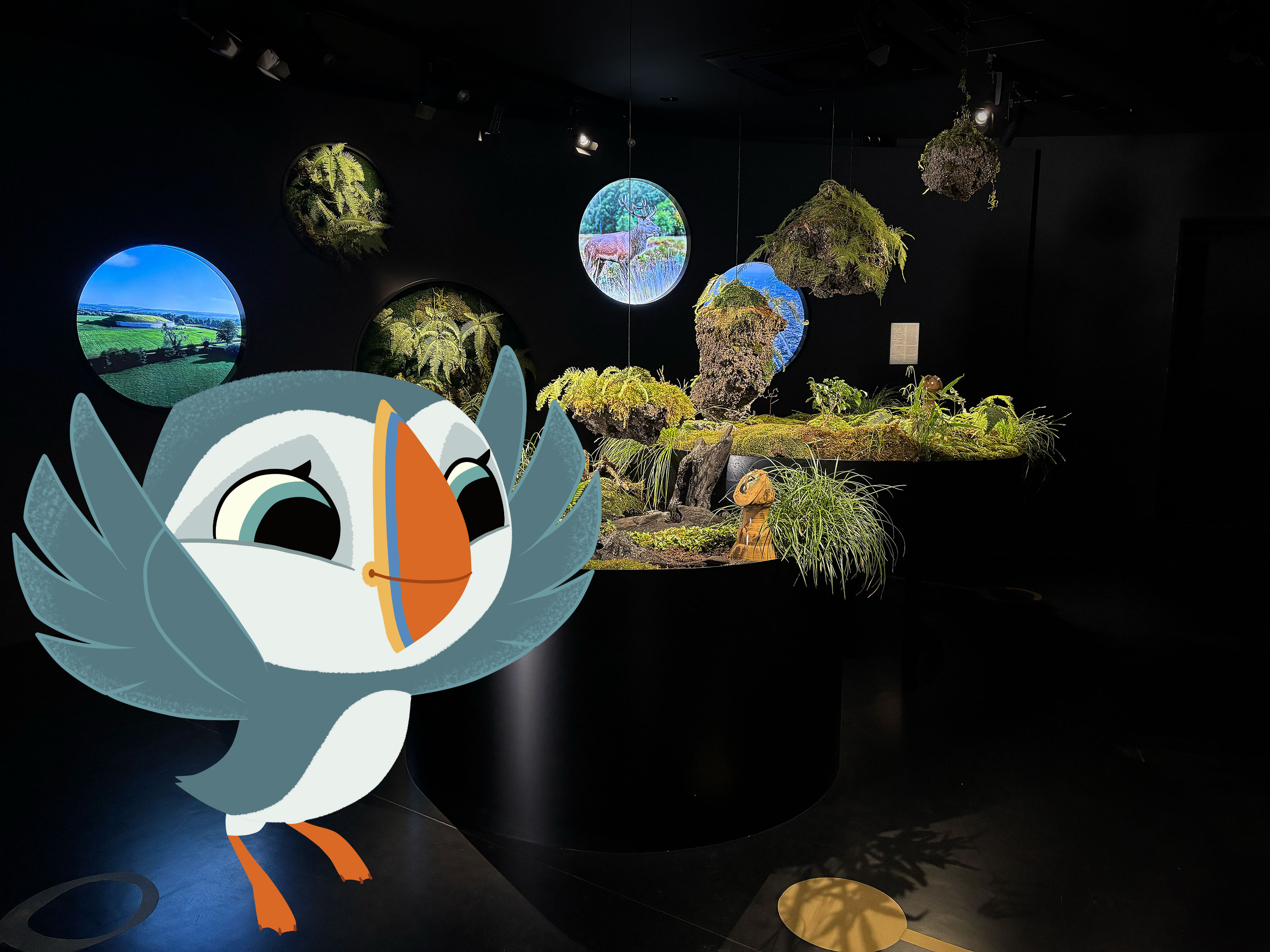 Graphic of a bird inside the Ireland pavilion at EXPO 2025