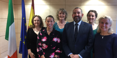 Government of Ireland harp on green background.