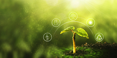 Green seedling sprouting upwards